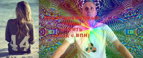 мяу мяу мука Алзамай